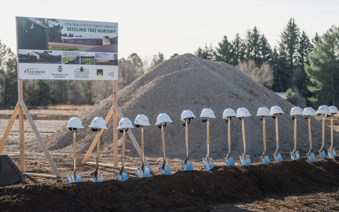 Supporting Reforestation Through Colorado Construction